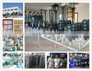 Yangzhou Qiang Sheng Electric Co., Ltd. company overview - view 2
