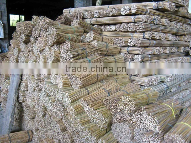 bamboo plant green color stakes