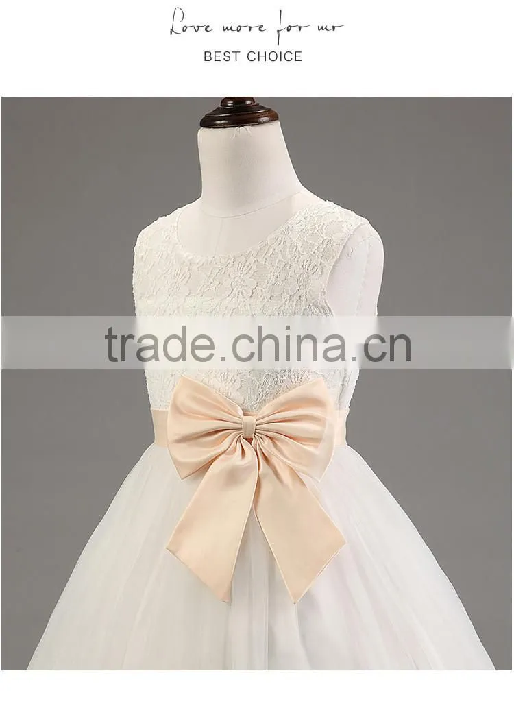Lastest wholesale elegant girls chiffon party hand embroidery dresses TR-WS31