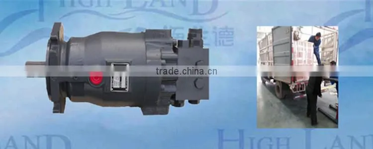 China factory supply dynamic hydraulic motors