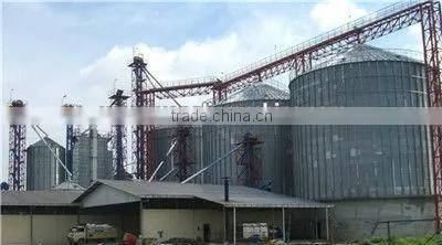 Alternative Storage Capacity Flour Silo