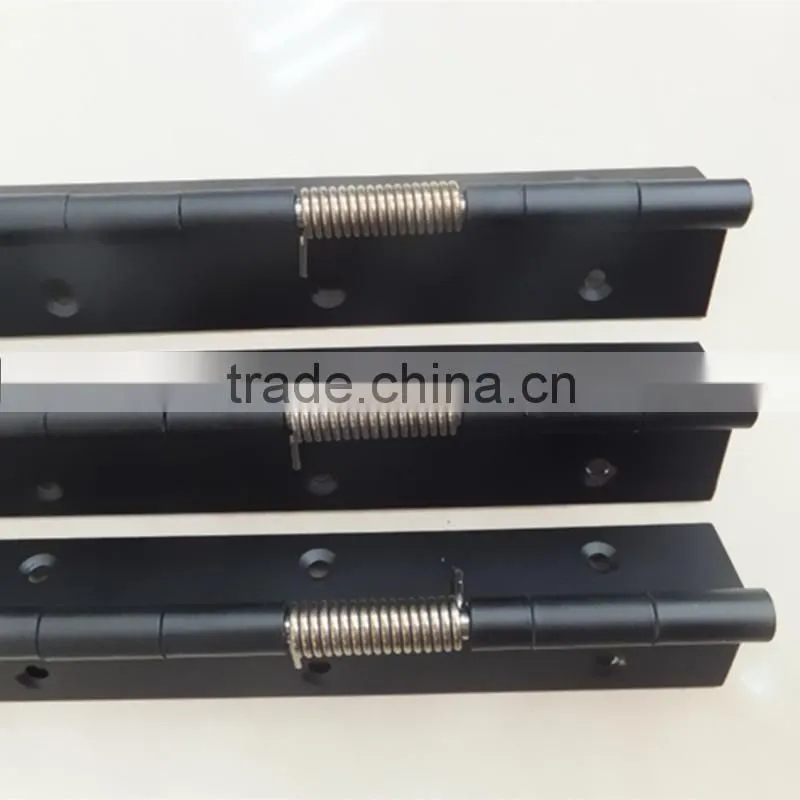 SUS 304 piano hinge with spring,stainless steel piano hinge