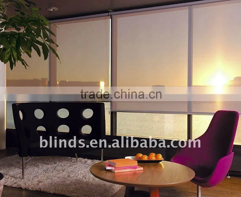 Sheer Manual Roller Blinds for Windows