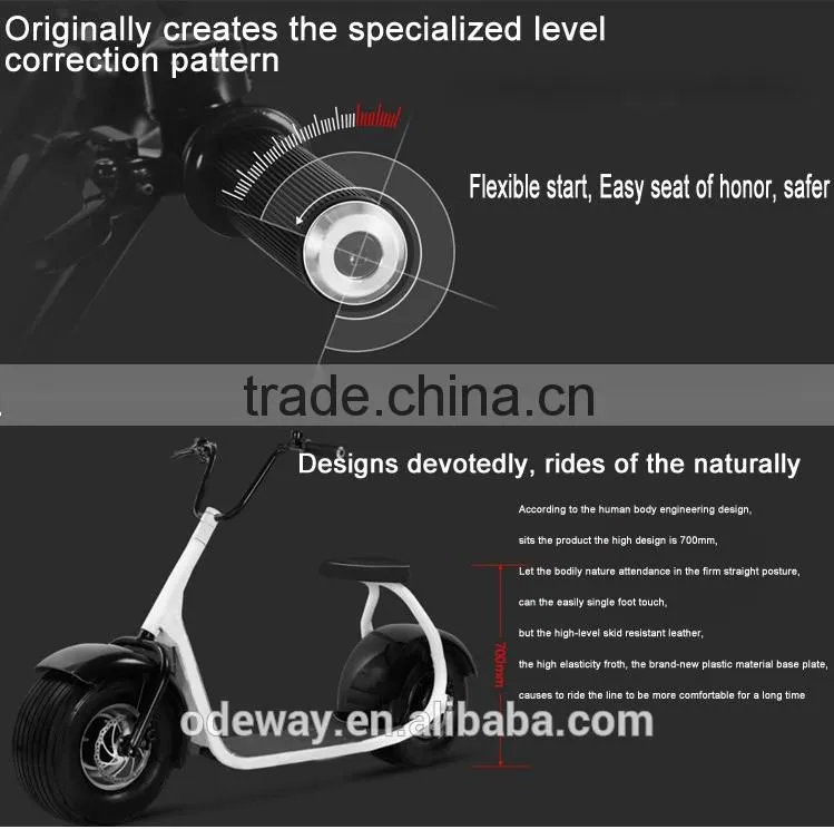 Fat tire and phone app control bluetooth connection Scooter harley China Electric Chariot Scooter 1000W Brush Motor two wheel