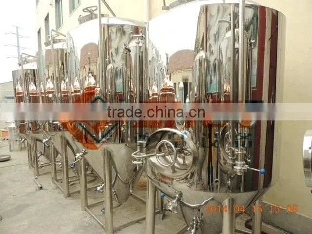 beer equipment made by SUS 304 or red copper/CE and ISO certification
