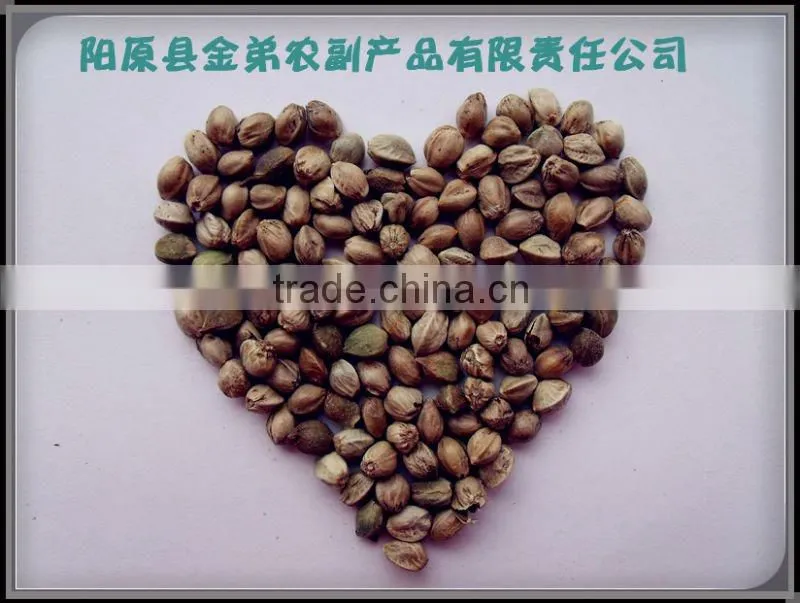 high quality hemp seeds for bird