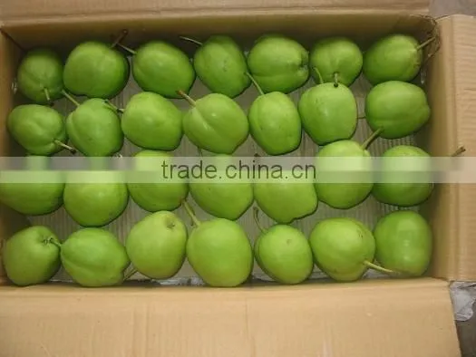 su pear/fresh pear