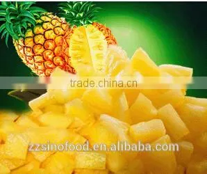 Canned Pineapple Fruit in Light Syrup Slices