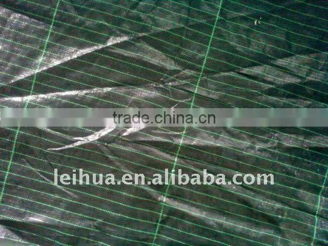 Quality pp woven Geotextiles