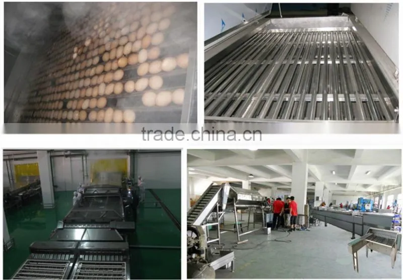 Best quality Various Stainless Steel 304 automatic quail egg peeler machine