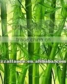 Superior quality bamboo processing machine for tooth pick