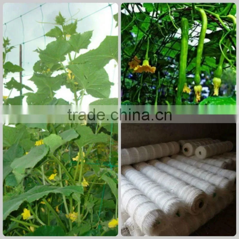 Flower support netting Cucumber support netting 10x10 cm