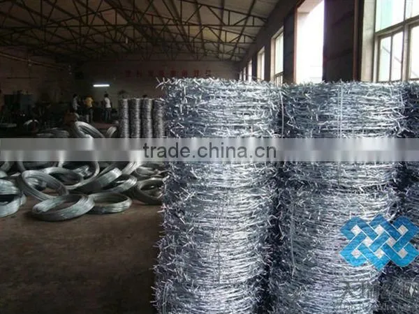 galvanized/pvc coated barbed wire (reverse twist or nromal twist )