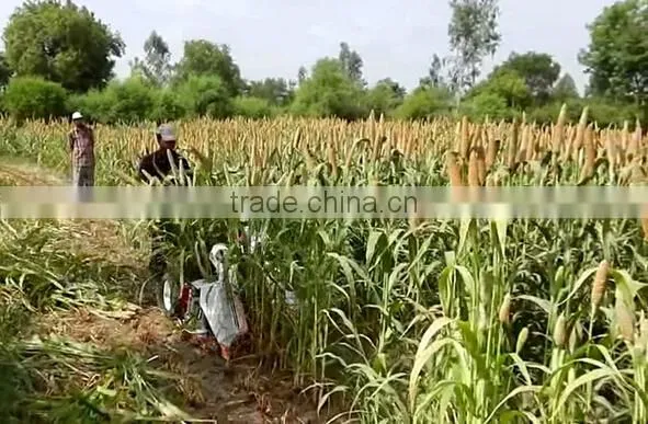 Factory offer reed reaper binder