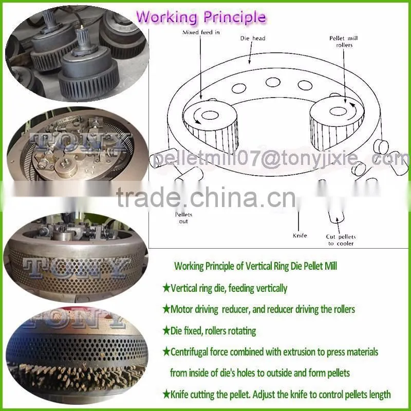 Advanced technology wood pellet press with high quality