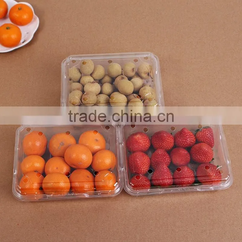 750ml disposable PP transparent seafood fruit plastic container