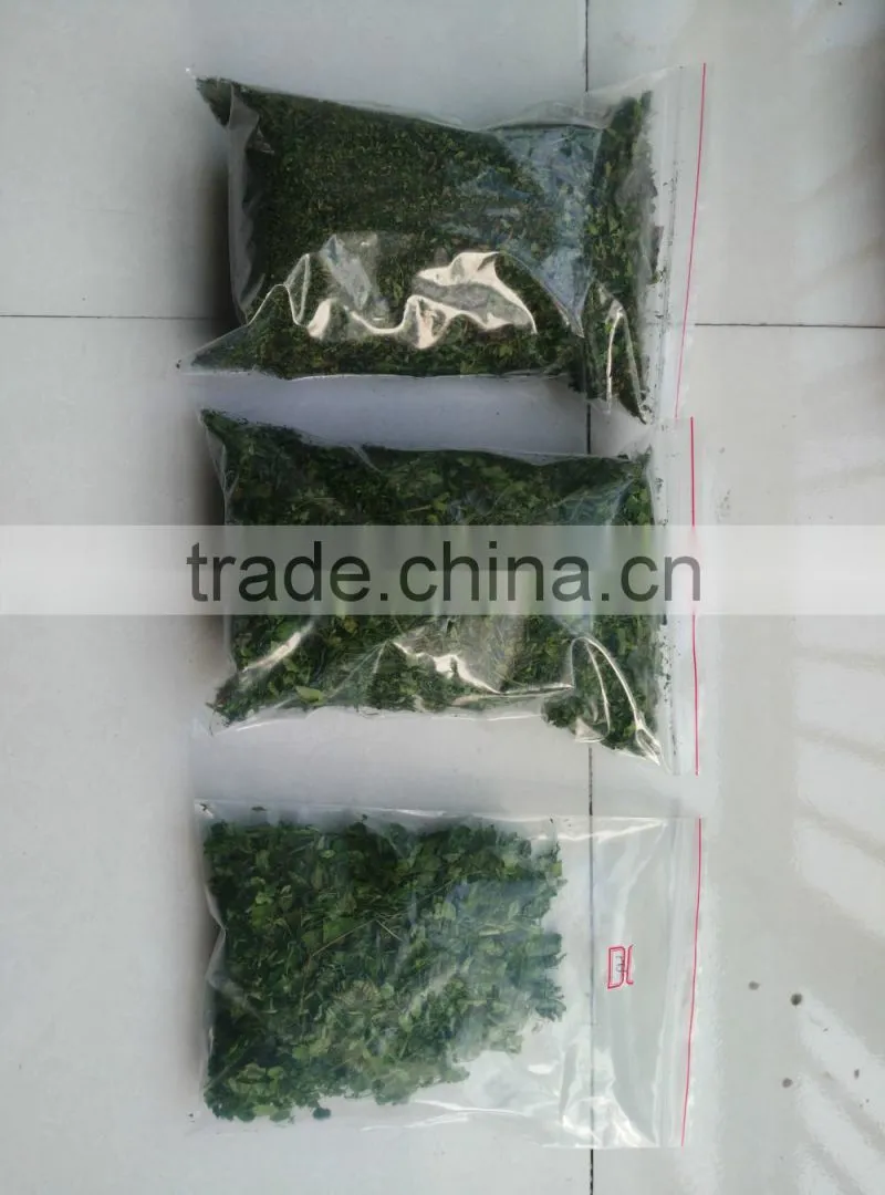 Moringa leaf Multiple layer continuous type belt dryer
