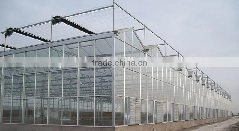 Greenhouse for vegetables and flowers