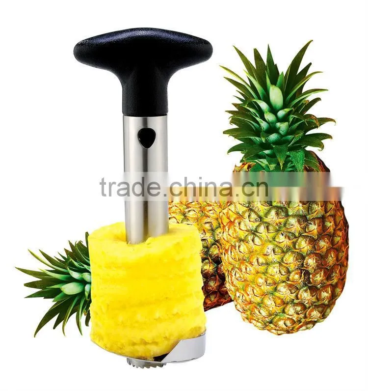 Easy Tool Stainless Steel Fruit Pineapple Corer Slicer Peeler Cut