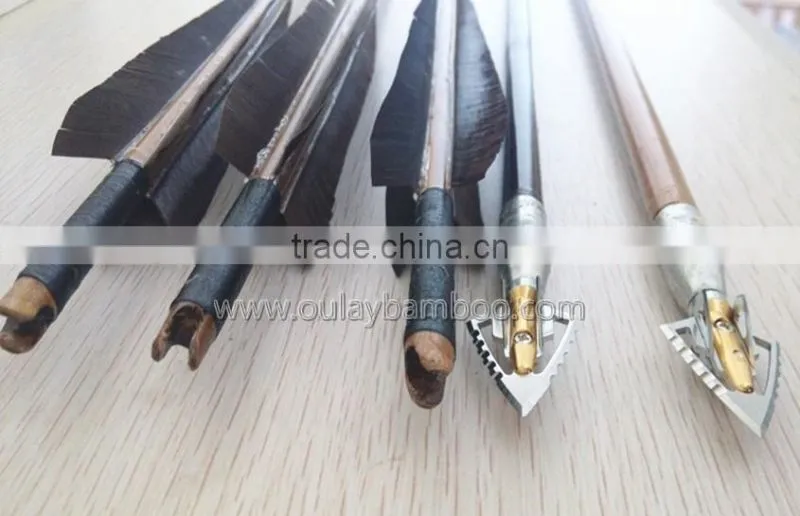 Nature Bamboo Arrows With Three Different Weights Screw-in Points And Brass Inserts