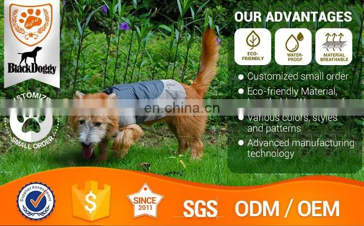 OEM&ODM Polyester Sports High Visibility Vest For Dog Harness Set Dress