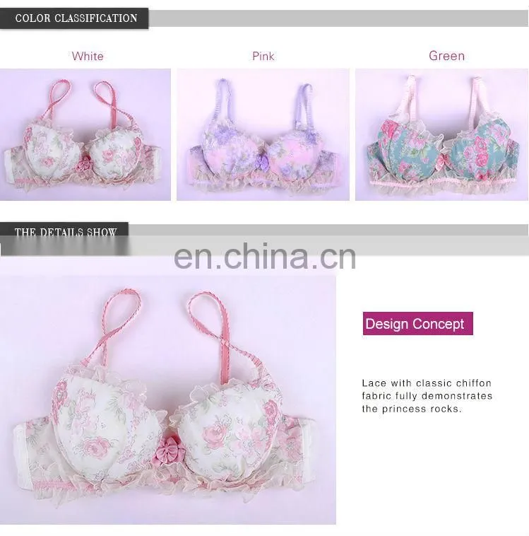 Hot Sale Graceful Price Of The Bra Price And Penty