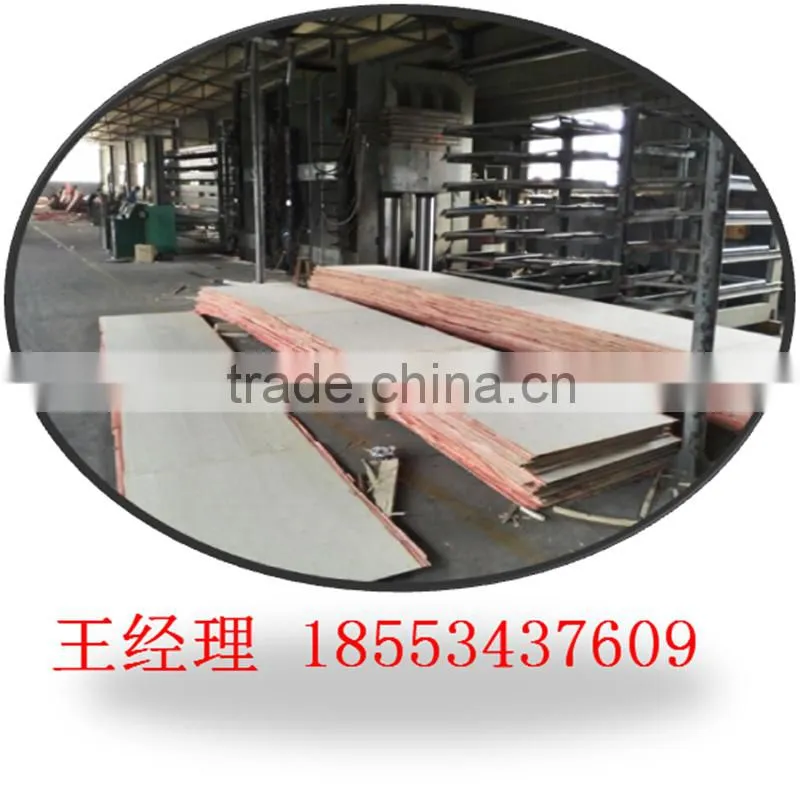 Malaysia packing usage poplar LVL for sales/poplar LVL for packing