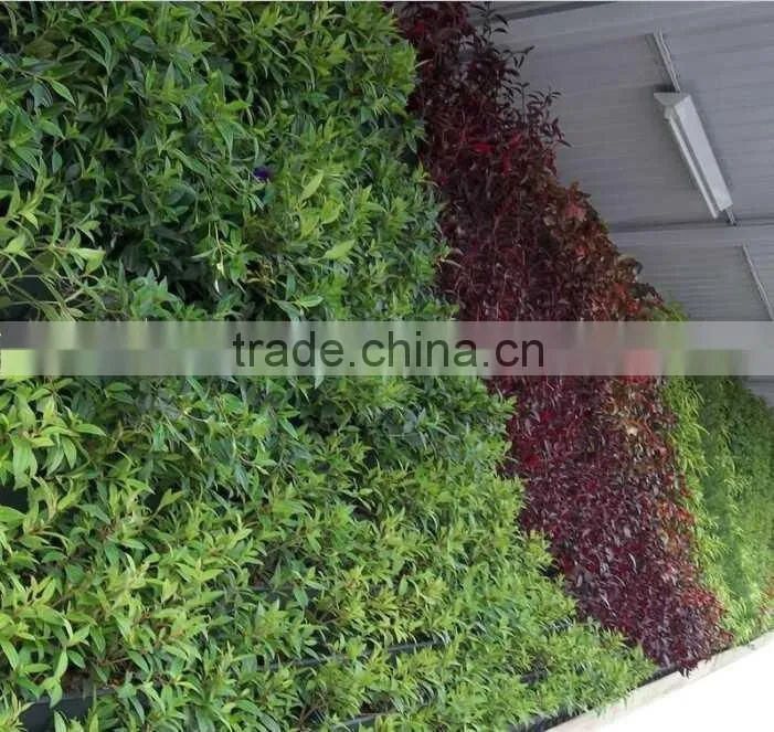 Yafei high quality artificial grass wall/artificial green wall/artificial plant decoration