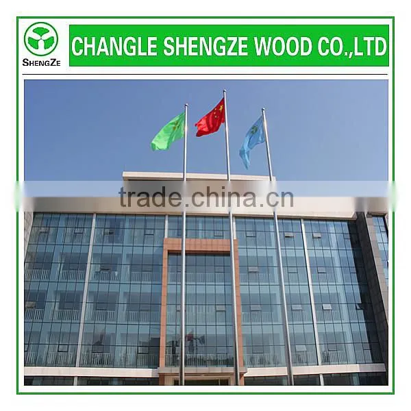 veneered MDF mould door skin