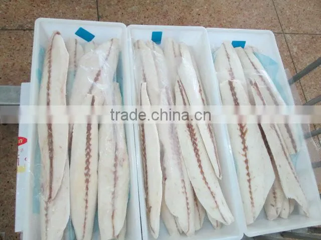 Frozen Oilfish fillets new arrive