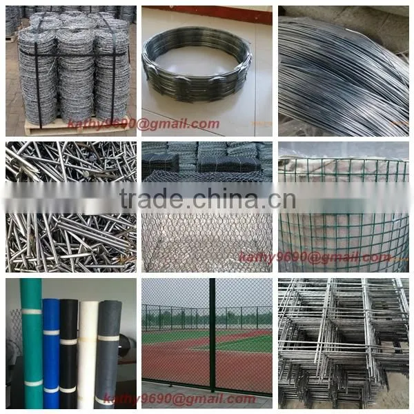 common wire nails supplier from China special for yemen market