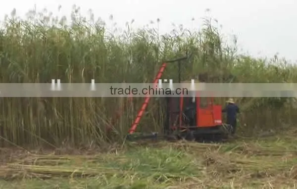Reeds cutting machine reeds harvesting machine/harvester