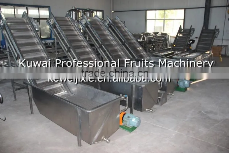 3 ton CXJ-3 Model surf type cleaner(Industrial fruits washer)