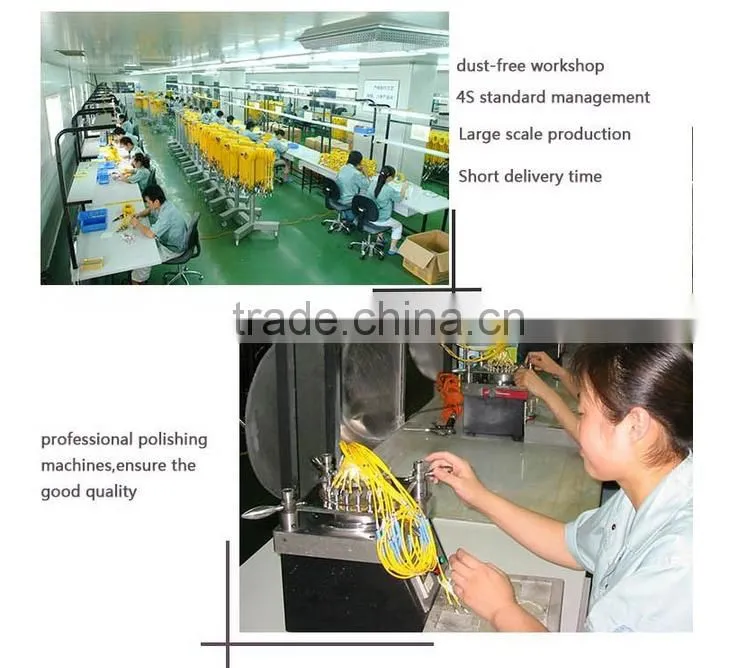 2core LC STSC FC SM Armoured Fiber Optic Patch Cord