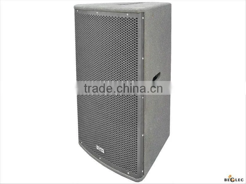 High power 2-way speaker