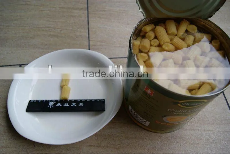 Canned Baby corn Cut In Brine