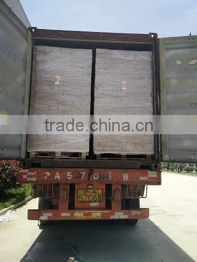 Long shelf life Juice Gable top carton
