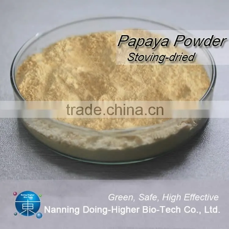 100% natural High quality factory supply papaya powder in Dried Fruit