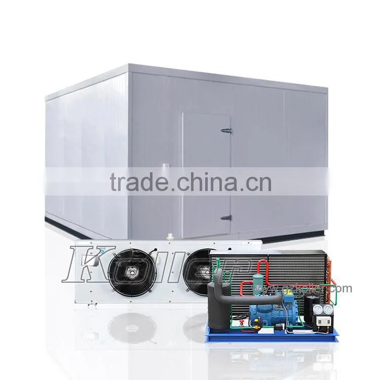Commercial Modular Freezer Cold Room with 20CBM for Meat storage VCR20