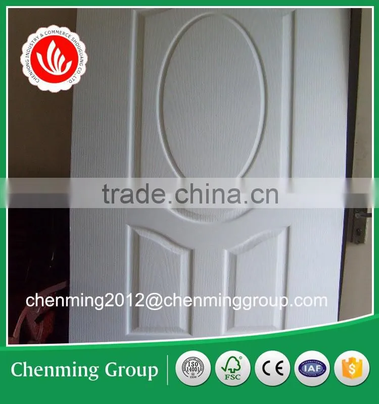 White primer interior door