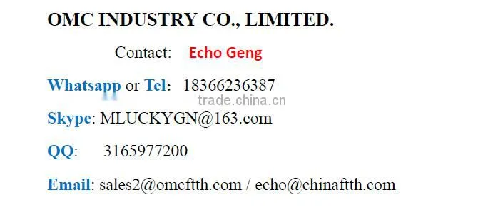 high quality 12 cores MPO to LC SM fiber optic patch cord