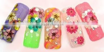 H1-034 12COLORS Dried Flowers for Nail Art Embeddi(12Colours ) 1.These dried DRY FLOWER ,Real dry flower