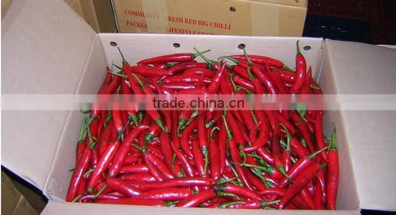chili Peppers