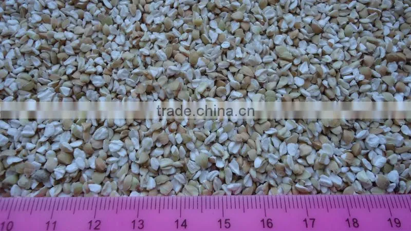 Crushed green buckwheat