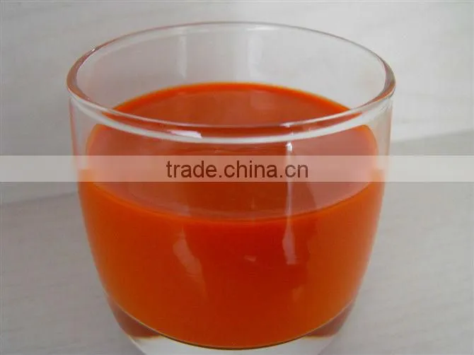 BIO GOJI Juice Concentrate