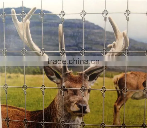 Anping Deming produce crosslock knot Field fence