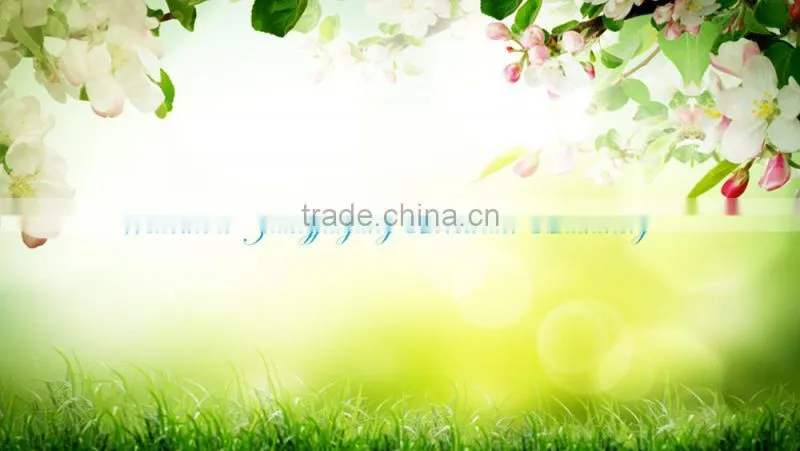 PVC Panel Crusher Price