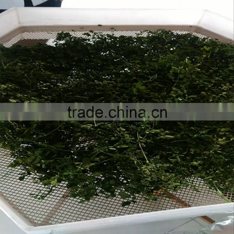 moringa leaf drying machine microwave oven