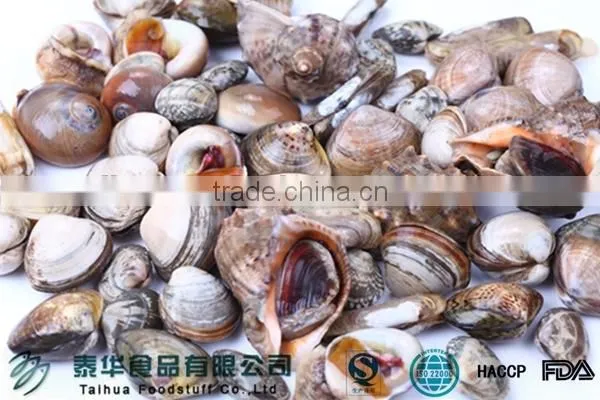 New Wholesale Seafood Razor Clam Meat Best Clean