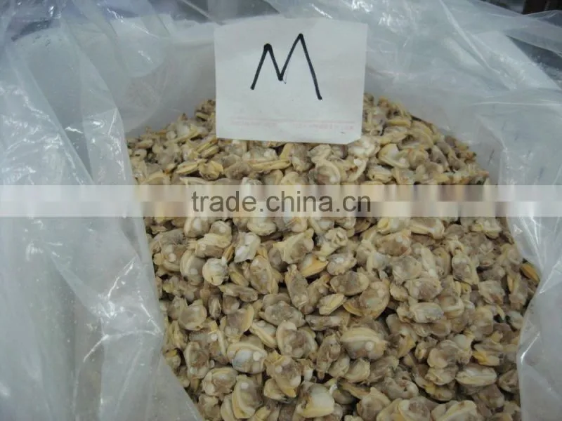 Short necked clam meat